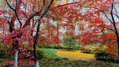 从风水上来讲家里客厅和餐厅装玻璃好吗_楼梯在客厅和餐厅之间_家里装楼梯风水好不好