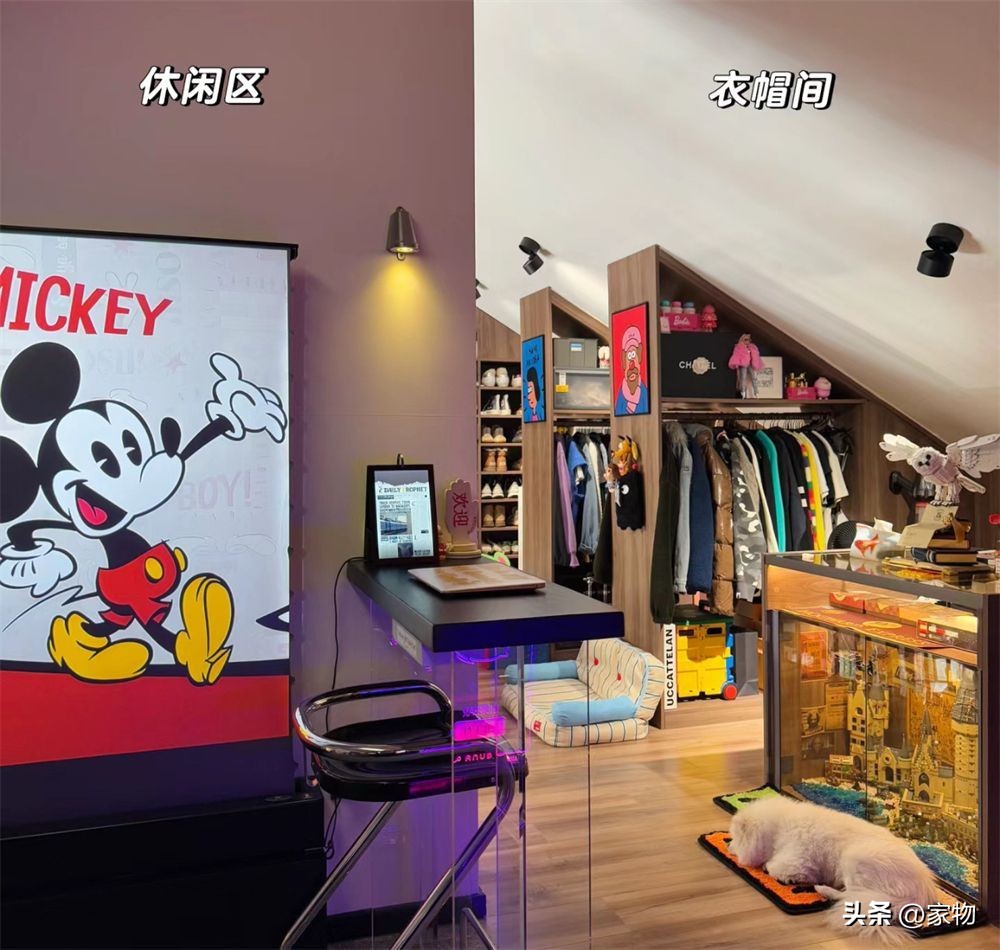 阁楼楼梯的装修效果图大全_43平米阁楼改造_电竞房衣帽间设计